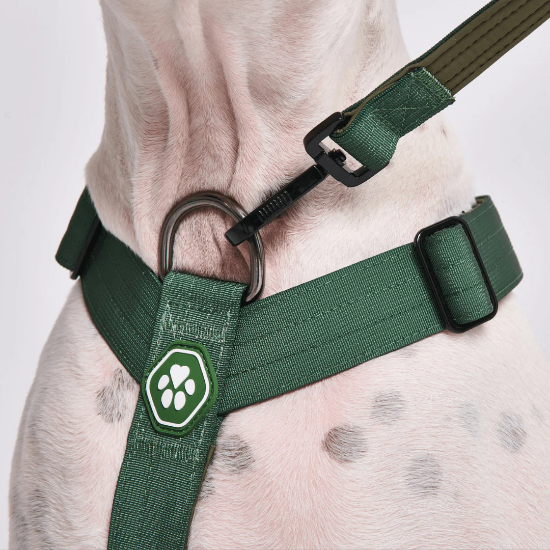 Product image 62