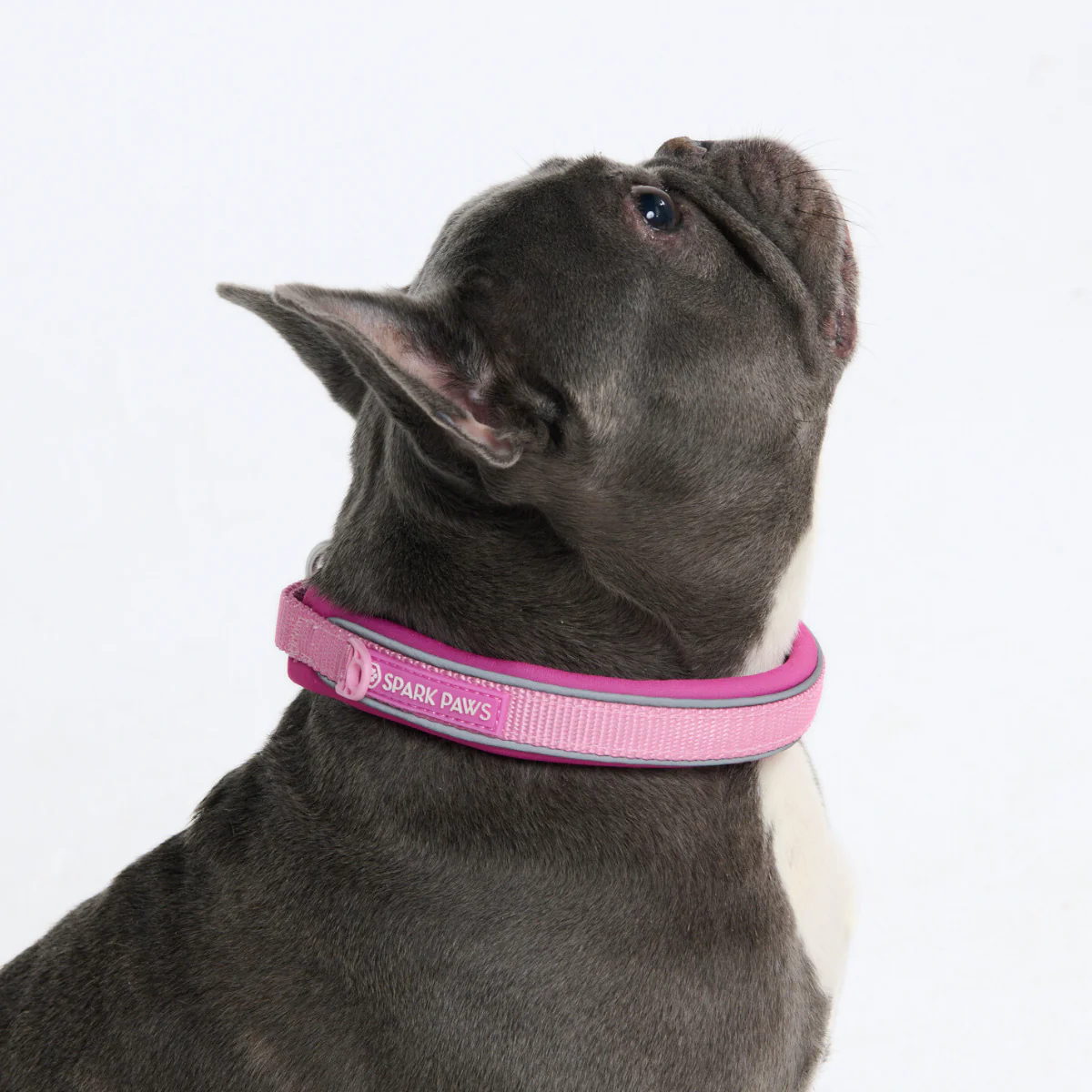 Product image 80