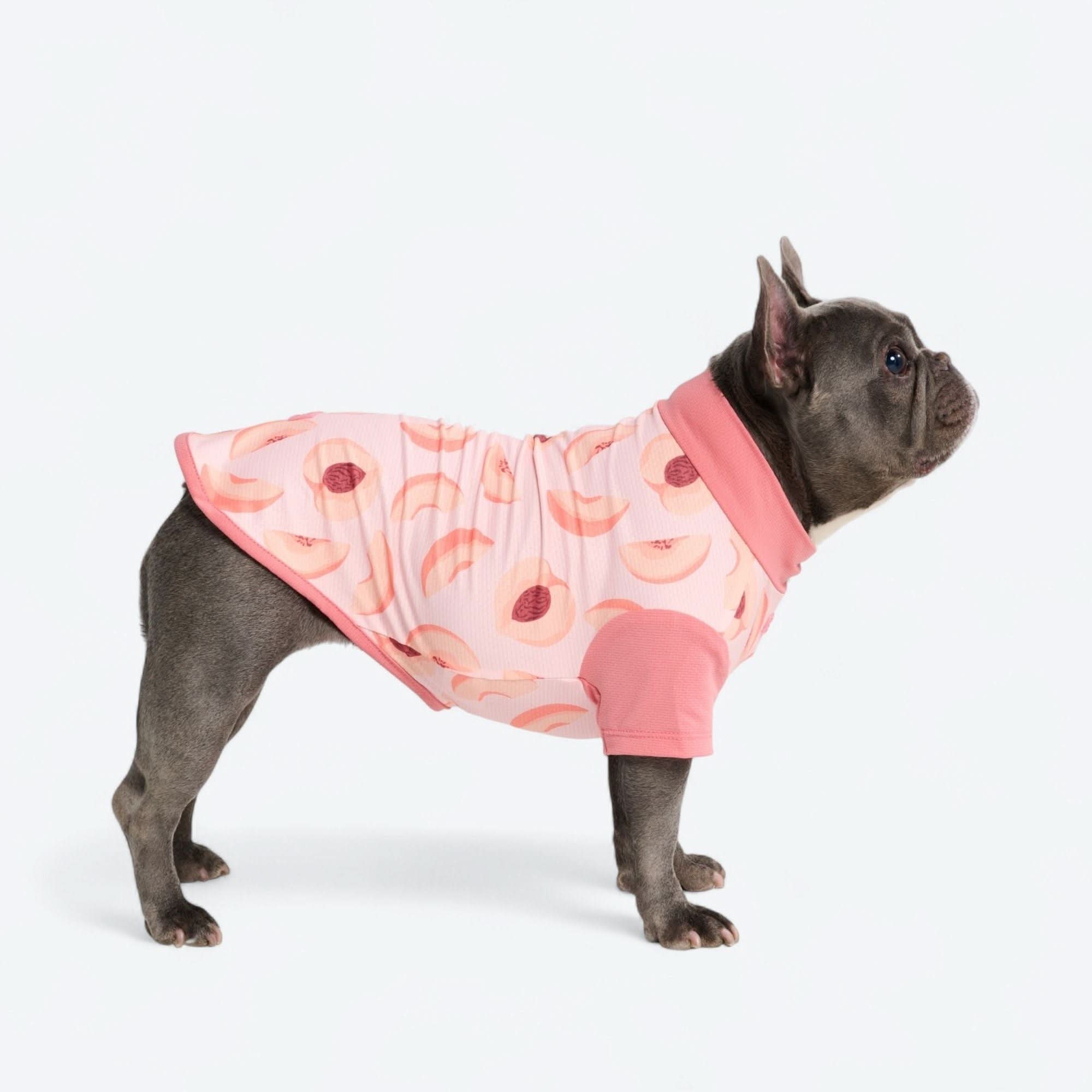 Q2-2025 - New Shirts, Cooling Vest, and Raincoats