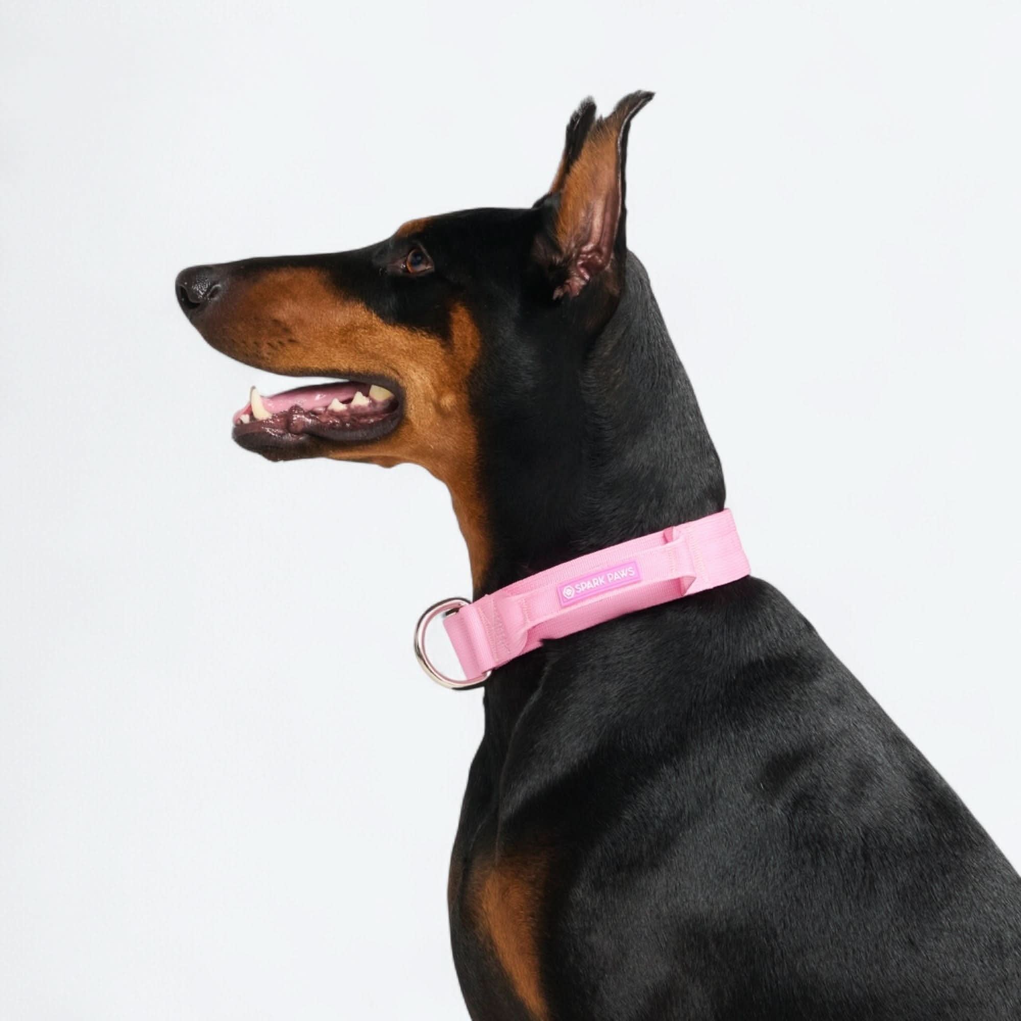 Product image 101