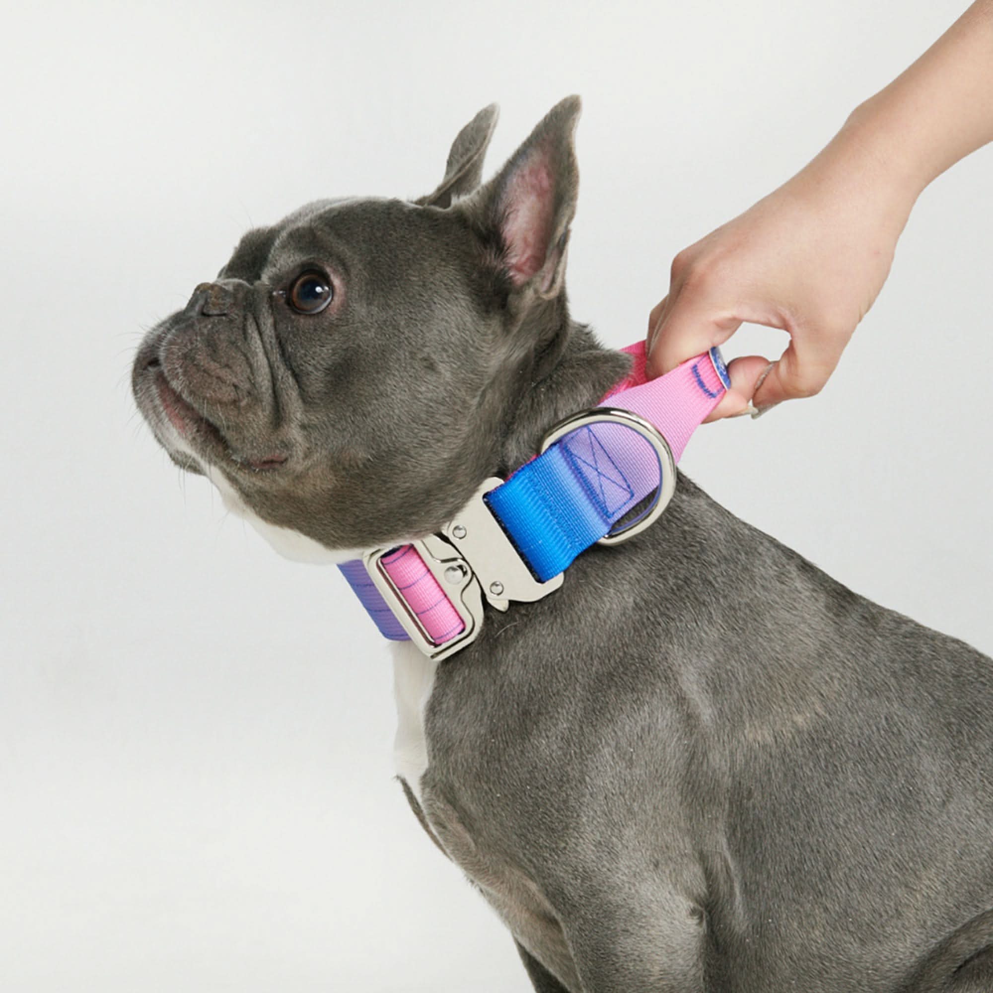 Product image 79